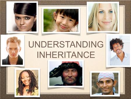 Understanding Inheritance