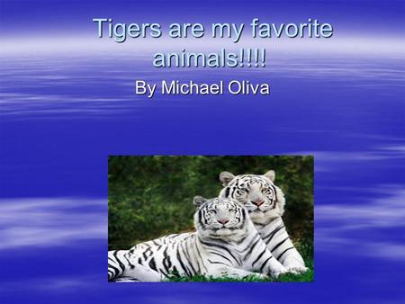 Tigers are my favorite animals!!!!