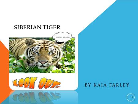 SIBERIAN TIGER BY KAIA FARLEY 1 THIS STORY IS DEDICATED TO: My family because they’re nice and funny. Nice and funny= awesome family 2.