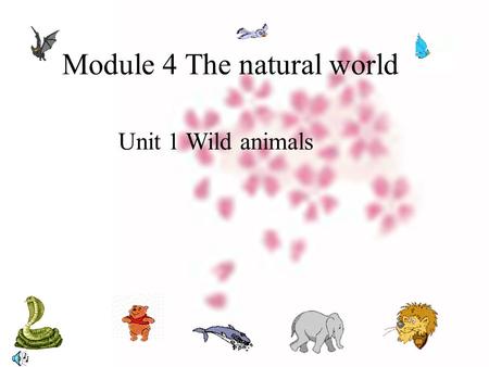 Module 4 The natural world