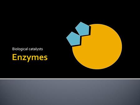 Biological catalysts.  Enzymes: proteins inside cells that act as a catalyst.  Proteins = long amino acids chains that are folded into a specific shape.