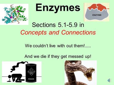 Enzymes Sections in Concepts and Connections