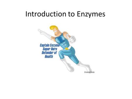 Introduction to Enzymes