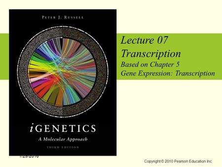 Lecture 07 Transcription Based on Chapter 5 Gene Expression: Transcription 1/29/2016 Copyright © 2010 Pearson Education Inc.