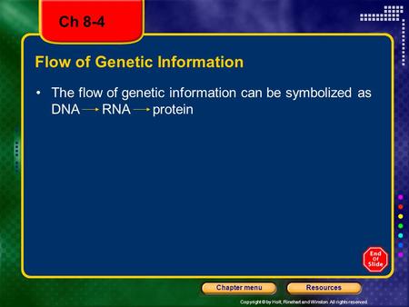 Copyright © by Holt, Rinehart and Winston. All rights reserved. ResourcesChapter menu Flow of Genetic Information The flow of genetic information can be.