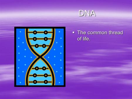 DNA DNA  The common thread of life.. What are the functions of DNA?  There are two main functions of DNA –It is the molecule of heredity. –It contains.