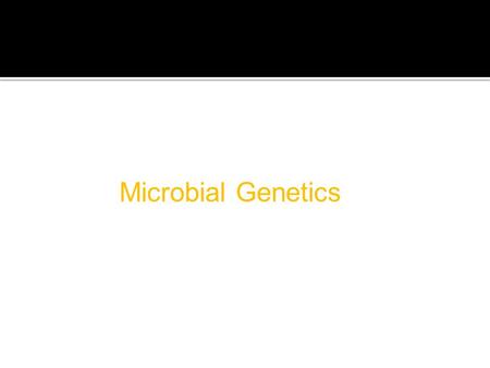 Microbial Genetics.  DNA replication is semi- conservative:  What does it mean? During cell division, each daughter cell inherits 2 DNA strands, One.