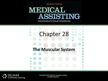 Copyright ©2012 Delmar, Cengage Learning. All rights reserved. Chapter 28 The Muscular System.