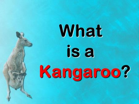 What is a Kangaroo?.