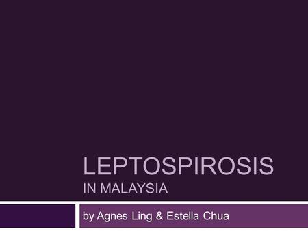 LEPTOSPIROSIS IN MALAYSIA