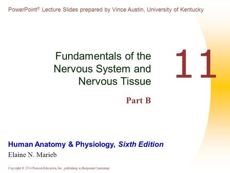 Copyright © 2004 Pearson Education, Inc., publishing as Benjamin Cummings Human Anatomy & Physiology, Sixth Edition Elaine N. Marieb PowerPoint ® Lecture.