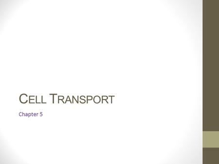 C ELL T RANSPORT Chapter 5. PASSIVE TRANSPORT Diffusion.