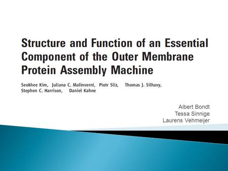 Albert Bondt Tessa Sinnige Laurens Vehmeijer.  Introduction  Experiments ◦ Structural studies ◦ Functional studies  Conclusion  Discussion.