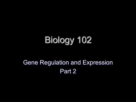 Biology 102 Gene Regulation and Expression Part 2.