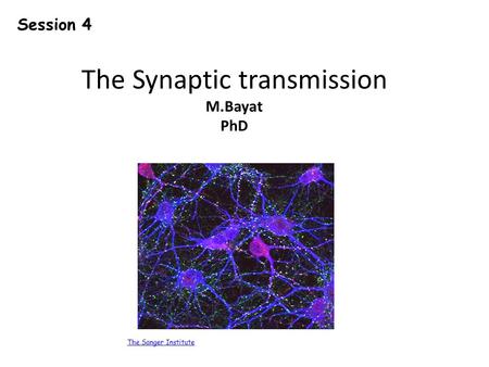 The Synaptic transmission M.Bayat PhD