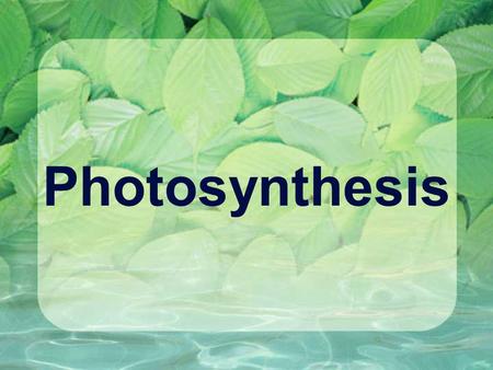 Photosynthesis.