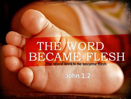 The Word WHEN He became flesh. Max Lucado’s book God came Near What was it like watching Him pray? When He saw a rainbow, did He ever mention a flood?