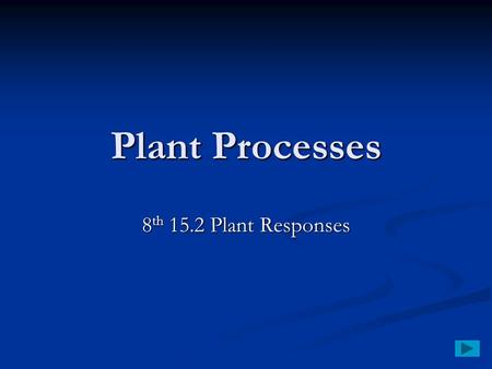 Plant Processes 8 th 15.2 Plant Responses. Plant Responses Tropism – response of a plant to an outside stimulus Tropism – response of a plant to an outside.