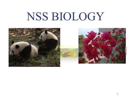 NSS BIOLOGY 1. Emphases 1. Scientific Inquiry 2. STSE Connections 3. Nature & History of Biology 3.