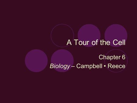 Chapter 6 Biology – Campbell • Reece