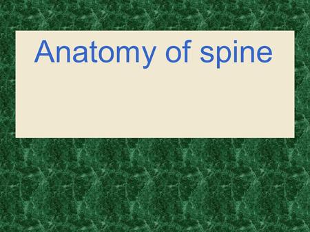 . Anatomy of spine.