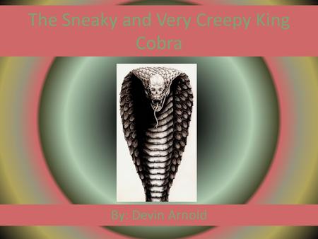 The Sneaky and Very Creepy King Cobra By: Devin Arnold.