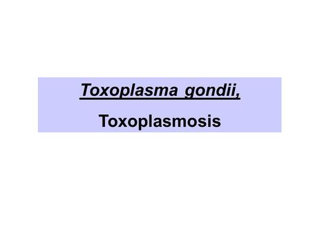 Toxoplasma gondii, Toxoplasmosis.