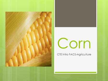 Corn CTE intro FACS-Agriculture. Careers or Industries that rely on Corn Production  Farmers  Farm Equipment Producers  Mechanics  Researchers  Food.