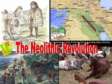 The Neolithic Revolution The Neolithic Revolution