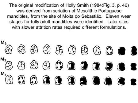 The original modification of Holly Smith (1984:Fig. 3, p. 46) was derived from seriation of Mesolithic Portuguese mandibles, from the site of Moita do.