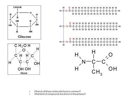 What do all these molecules have in common?