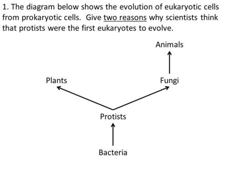 Bacteria Protists PlantsFungi Animals 1. The diagram below shows the evolution of eukaryotic cells from prokaryotic cells. Give two reasons why scientists.