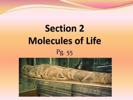 Pg. 55. Carbohydrates Organic compounds composed of carbon, hydrogen, and oxygen in a ratio of 1:2:1 Carbohydrates can exist as 1) monosaccharides (simple.