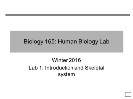 1 Biology 165: Human Biology Lab Winter 2016 Lab 1: Introduction and Skeletal system.