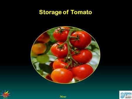 Storage of Tomato Next.