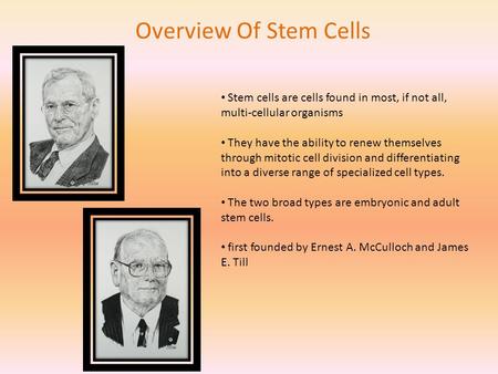 Overview Of Stem Cells Stem cells are cells found in most, if not all, multi-cellular organisms They have the ability to renew themselves through mitotic.