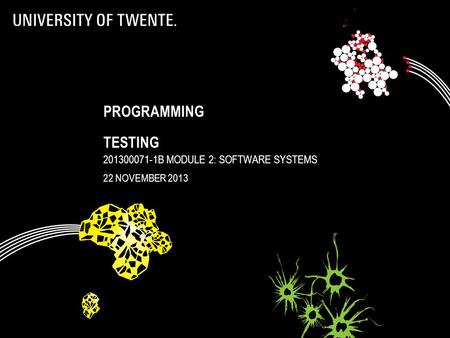 PROGRAMMING TESTING 201300071-1B MODULE 2: SOFTWARE SYSTEMS 22 NOVEMBER 2013.