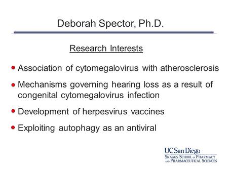 Deborah Spector, Ph.D. Research Interests Association of cytomegalovirus with atherosclerosis Mechanisms governing hearing loss as a result of congenital.