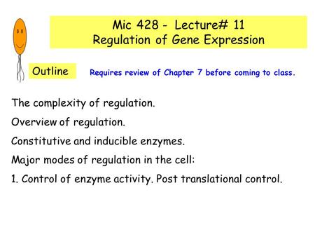 Regulation of Gene Expression