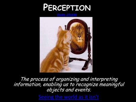 P ERCEPTION CRASH COURSE CRASH COURSE The process of organizing and interpreting information, enabling us to recognize meaningful objects and events. Seeing.