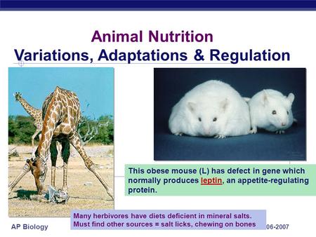 Variations, Adaptations & Regulation