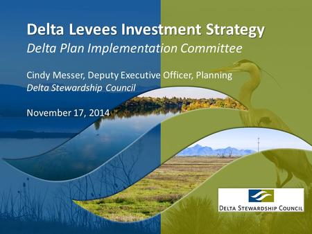 1 Delta Levees Investment Strategy Delta Levees Investment Strategy Delta Plan Implementation Committee Cindy Messer, Deputy Executive Officer, Planning.