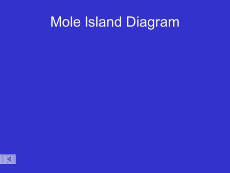 Mole Island Diagram.