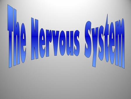 A system that controls all of the activities of the body. The nervous system is made of: The brainThe spinal cord The nervesThe senses.