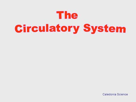 Caledonia Science.  the system that circulates blood and lymph through the body, consisting of the heart, blood vessels, .  The is the muscle that.