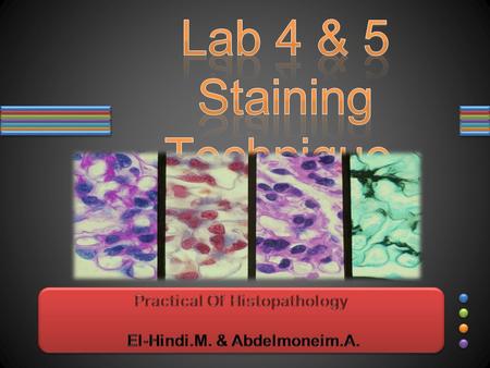 Lab 4 & 5 Staining Technique