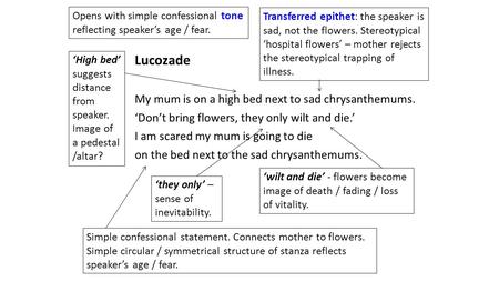 Lucozade My mum is on a high bed next to sad chrysanthemums. ‘Don’t bring flowers, they only wilt and die.’ I am scared my mum is going to die on the bed.