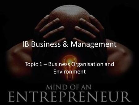 IB Business & Management