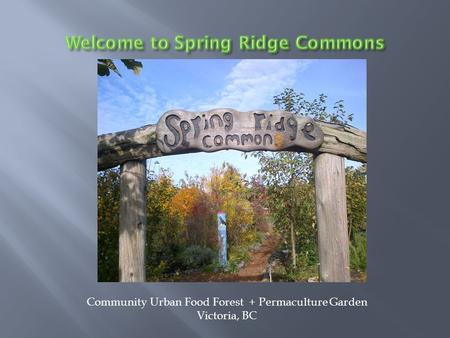 Community Urban Food Forest + Permaculture Garden Victoria, BC.