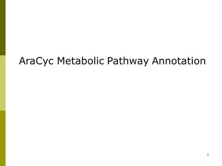 1 AraCyc Metabolic Pathway Annotation. 2 AraCyc – An overview  AraCyc is a metabolic pathway database for Arabidopsis thaliana;  Computational prediction.